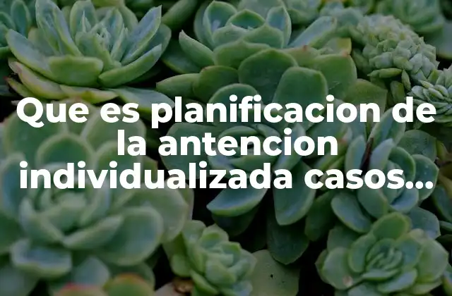 Que es Planificacion de la Antencion Individualizada Casos Clinicos