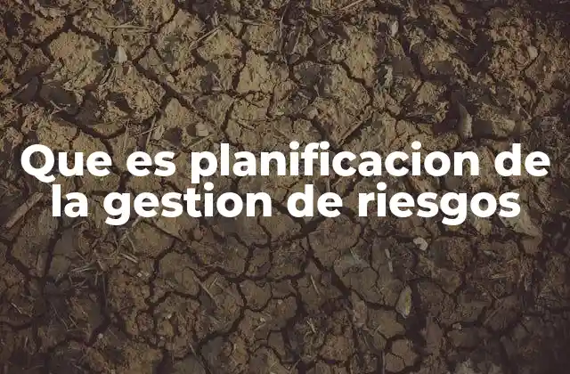 Que es Planificacion de la Gestion de Riesgos