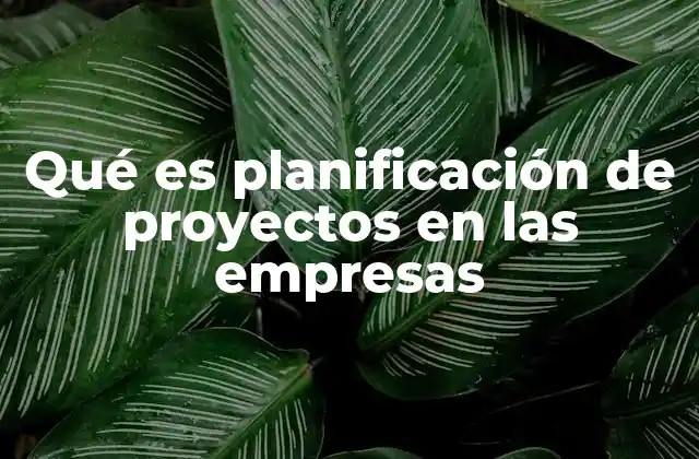 Qué es Planificación de Proyectos en las Empresas