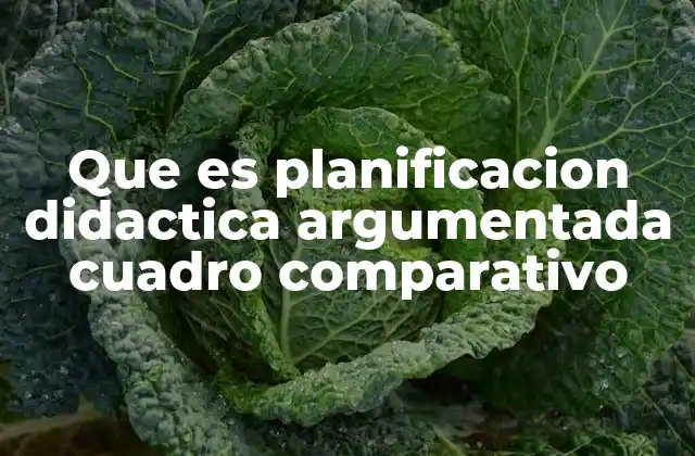 Que es Planificacion Didactica Argumentada Cuadro Comparativo