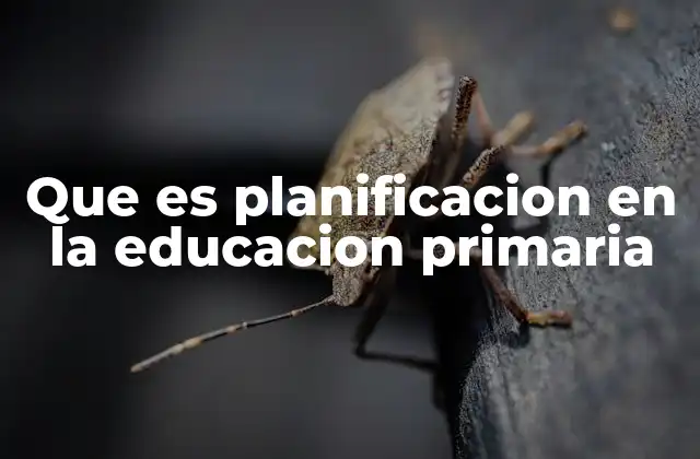 Que es Planificacion en la Educacion Primaria