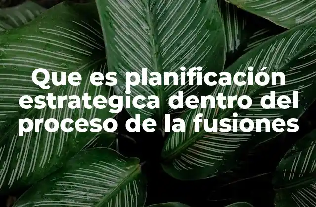 Que es Planificación Estrategica Dentro Del Proceso de la Fusiones