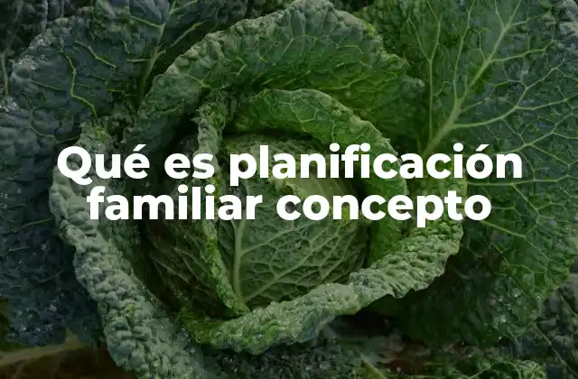Qué es Planificación Familiar Concepto