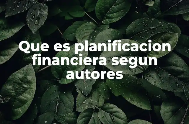 Que es Planificacion Financiera Segun Autores
