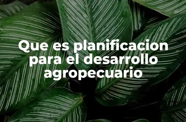 Que es Planificacion para el Desarrollo Agropecuario