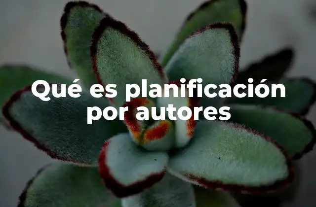 Qué es Planificación por Autores
