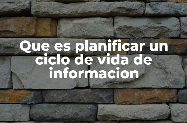 Que es Planificar un Ciclo de Vida de Informacion