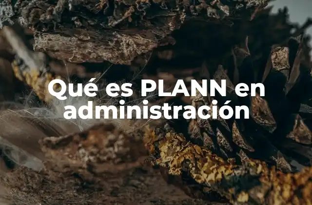 Qué es Plann en Administración