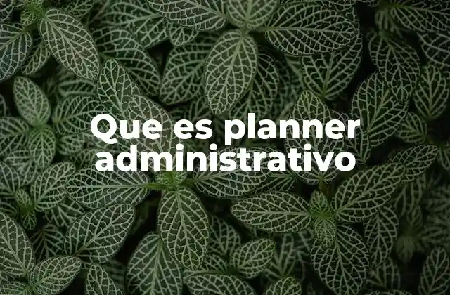 Que es Planner Administrativo