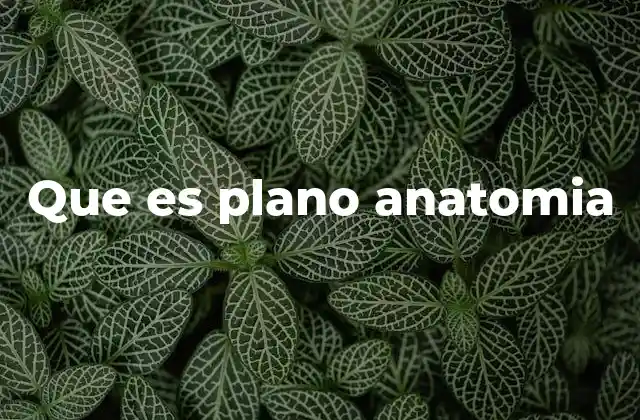 Que es Plano Anatomia