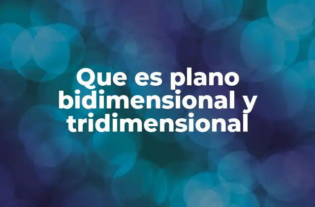 Que es Plano Bidimensional y Tridimensional