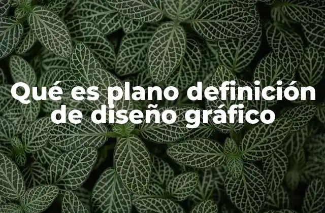 Qué es Plano Definición de Diseño Gráfico