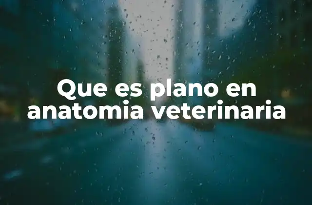 Que es Plano en Anatomia Veterinaria
