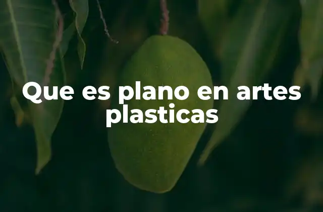 Que es Plano en Artes Plasticas