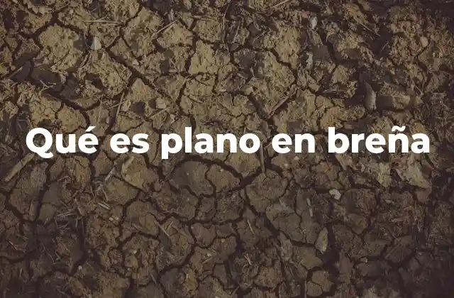 Qué es Plano en Breña