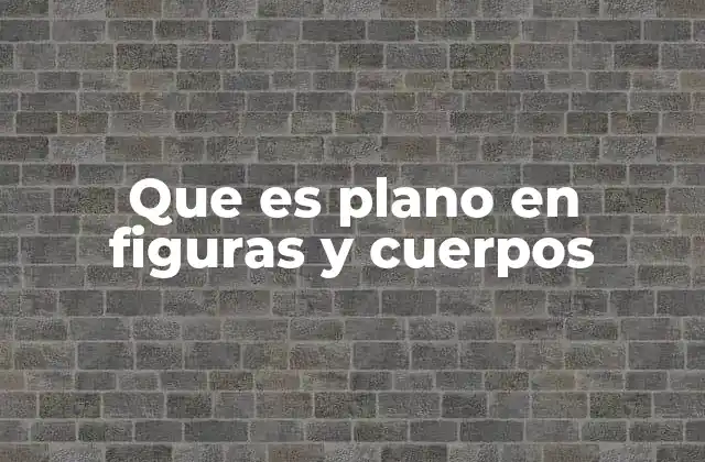 Que es Plano en Figuras y Cuerpos