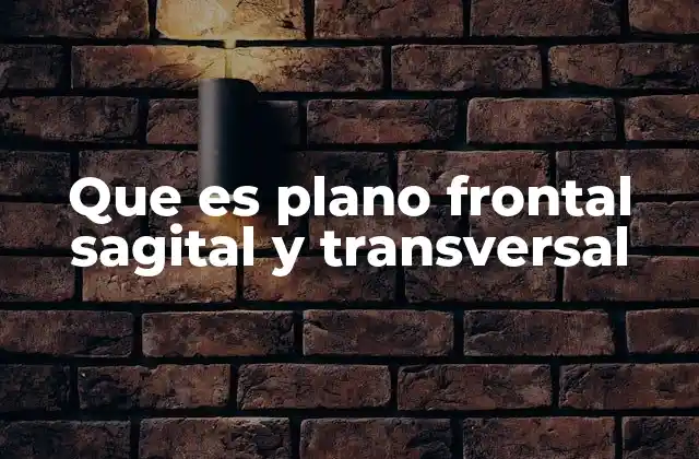 Que es Plano Frontal Sagital y Transversal