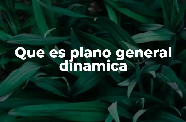 Que es Plano General Dinamica
