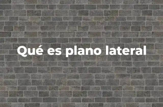 La importancia del plano lateral en anatomía