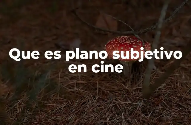 La importancia del punto de vista en la narración cinematográfica