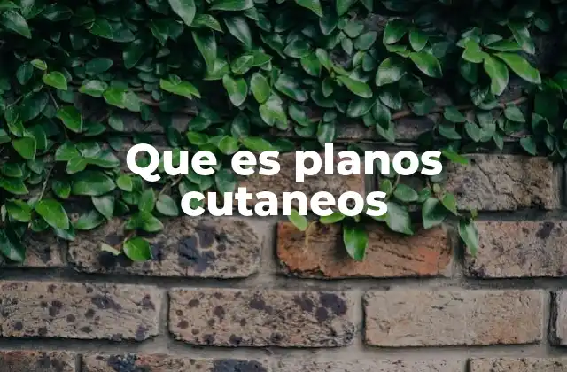 Que es Planos Cutaneos