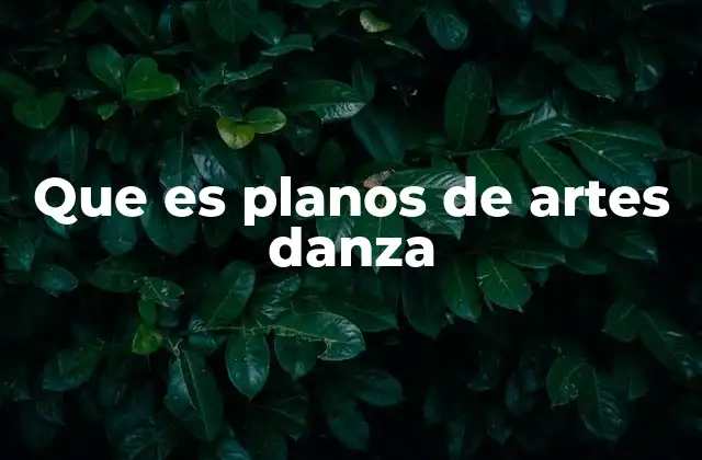 Que es Planos de Artes Danza