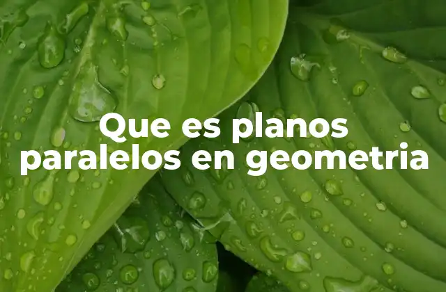 Que es Planos Paralelos en Geometria