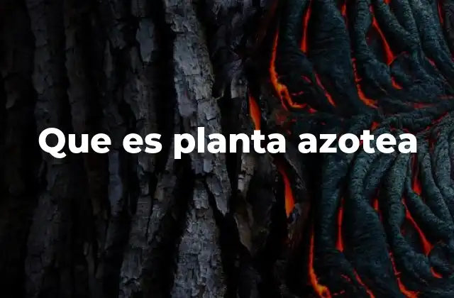 Que es Planta Azotea