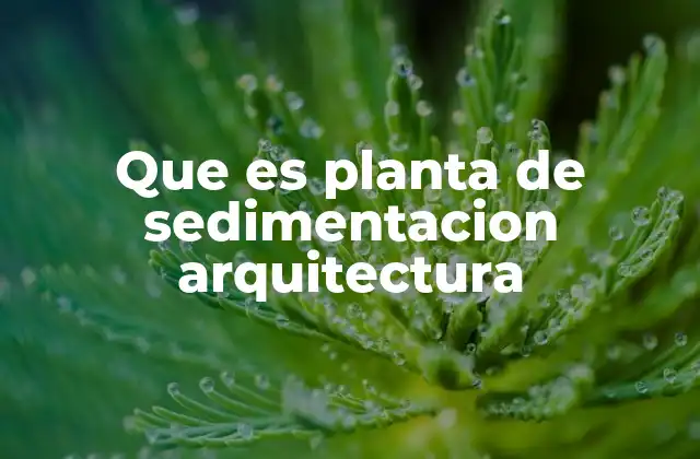 La importancia de la sedimentación en el diseño de edificios