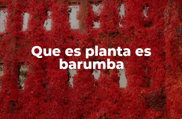 Que es Planta es Barumba