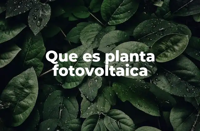 Que es Planta Fotovoltaica