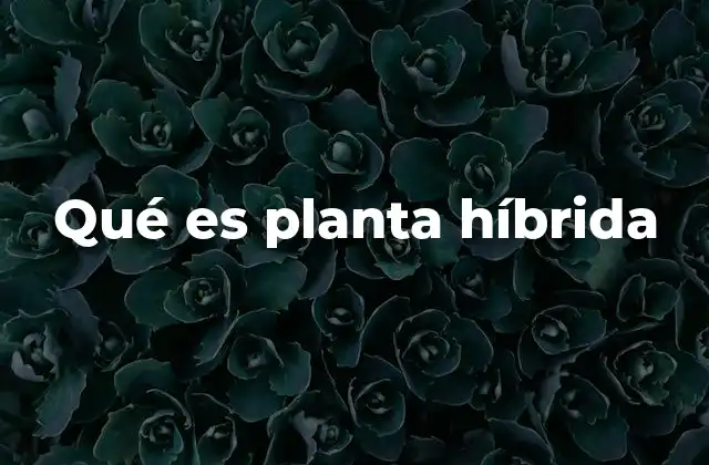 Qué es Planta Híbrida