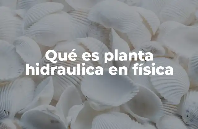 Qué es Planta Hidraulica en Física