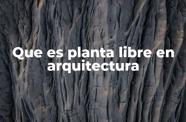 Que es Planta Libre en Arquitectura
