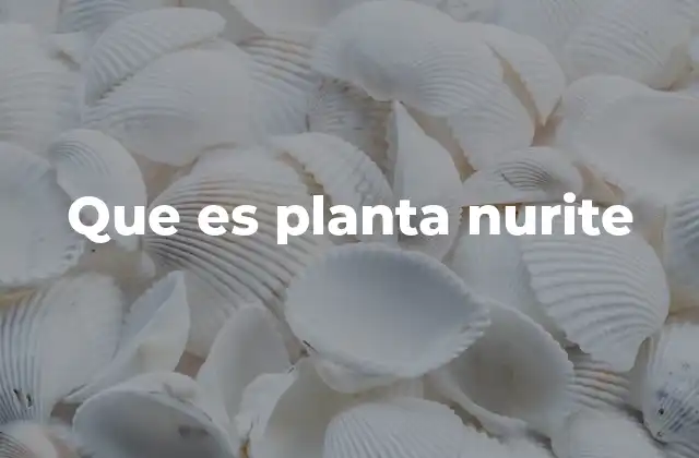 Que es Planta Nurite