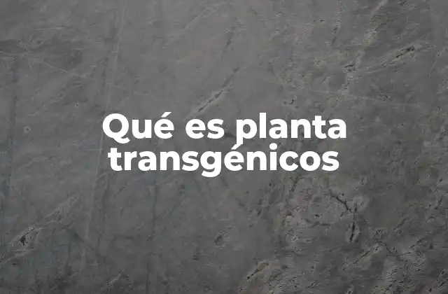 Qué es Planta Transgénicos