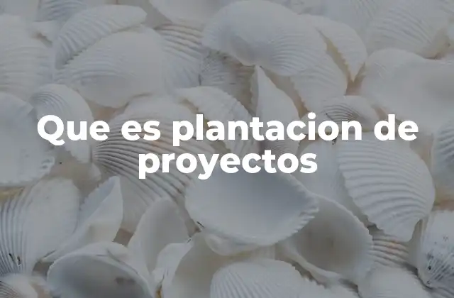 Que es Plantacion de Proyectos