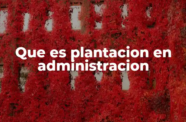 Que es Plantacion en Administracion