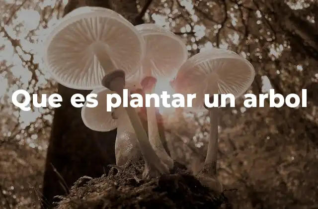 Que es Plantar un Arbol