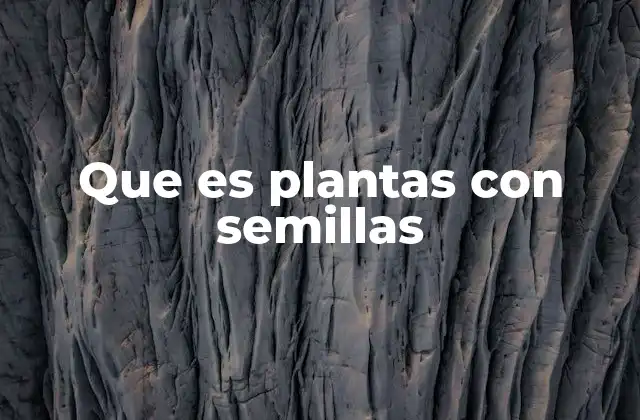 Que es Plantas con Semillas 2 Características esenciales de las plantas con semillas
