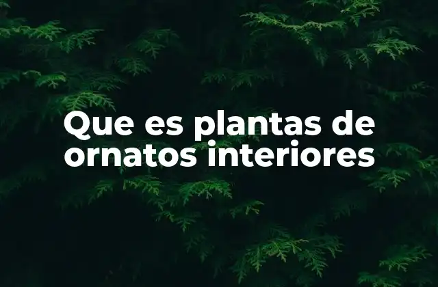 Que es Plantas de Ornatos Interiores