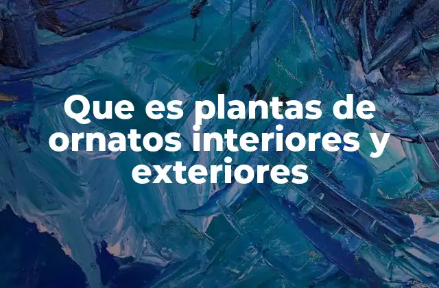 Que es Plantas de Ornatos Interiores y Exteriores