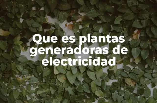 El papel de las centrales eléctricas en el desarrollo energético