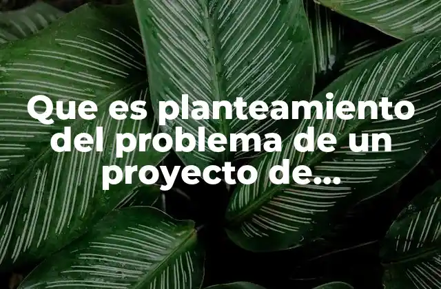 Que es Planteamiento Del Problema de un Proyecto de Investigacion