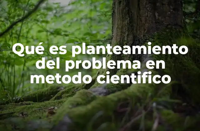 Qué es Planteamiento Del Problema en Metodo Cientifico