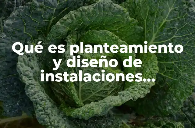 Qué es Planteamiento y Diseño de Instalaciones Introducción y Conclusión