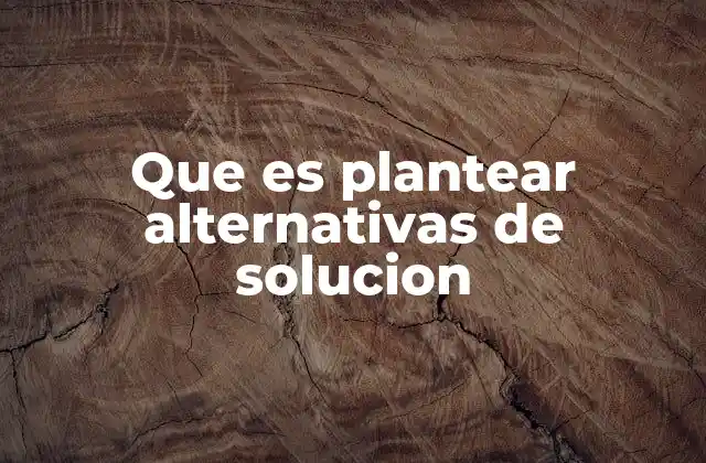 Que es Plantear Alternativas de Solucion