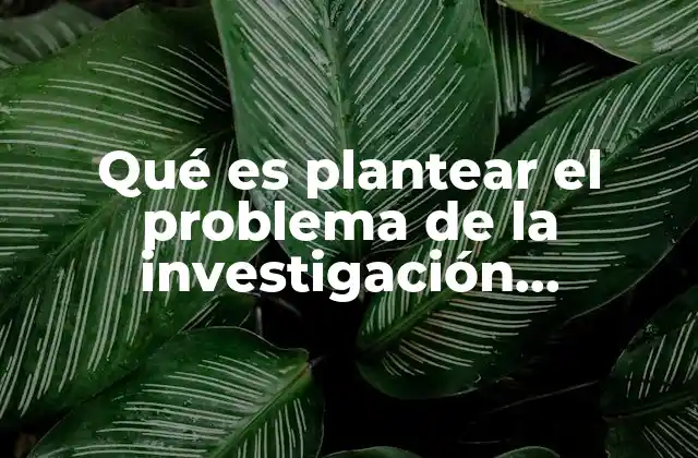 Qué es Plantear el Problema de la Investigación Cuantitativa