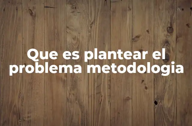 Que es Plantear el Problema Metodologia