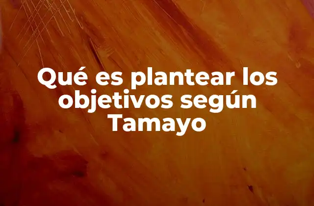 Qué es Plantear los Objetivos según Tamayo